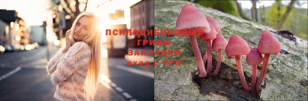 прущая мука Вязники