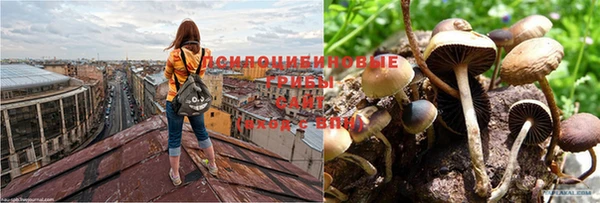прущая мука Вязники