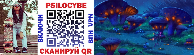 Купить закладки  Макаров  Галлюциногенные грибы Psilocybe 
